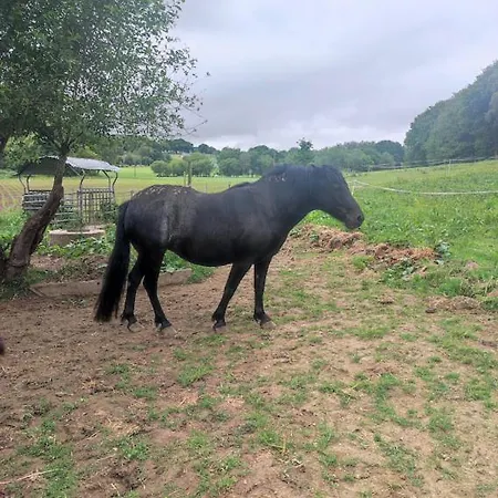 Halte Equine Plemet