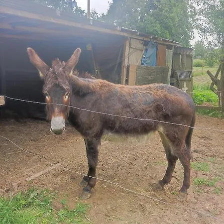 Halte Equine