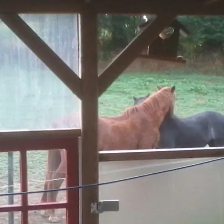 Halte Equine *