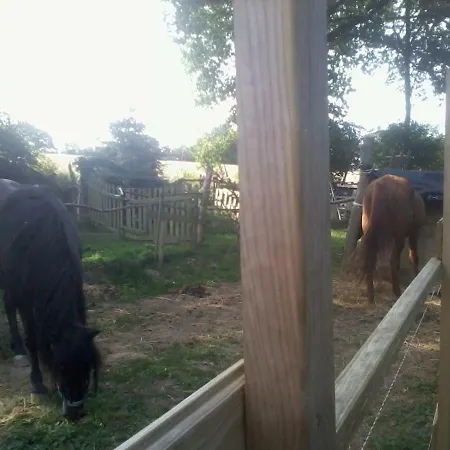 Halte Equine Homestay *