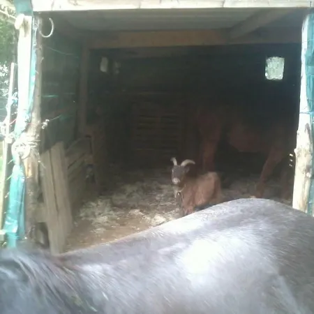 Halte Equine * Plemet