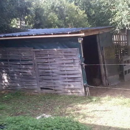 Halte Equine Homestay *