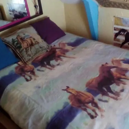 Homestay Halte Equine Plemet