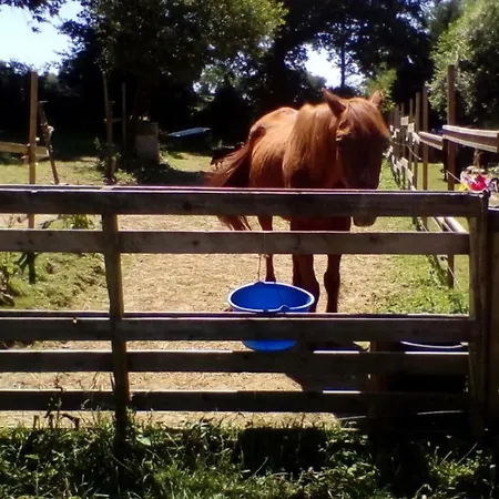 Halte Equine Homestay *