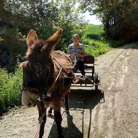 Halte Equine Homestay Plemet