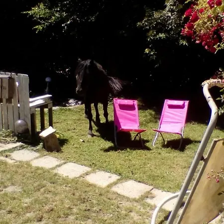 Homestay Halte Equine Plemet